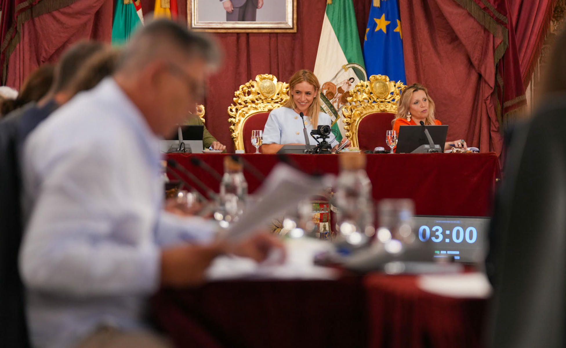 La presidenta de Diputación de Cádiz, en el pleno.