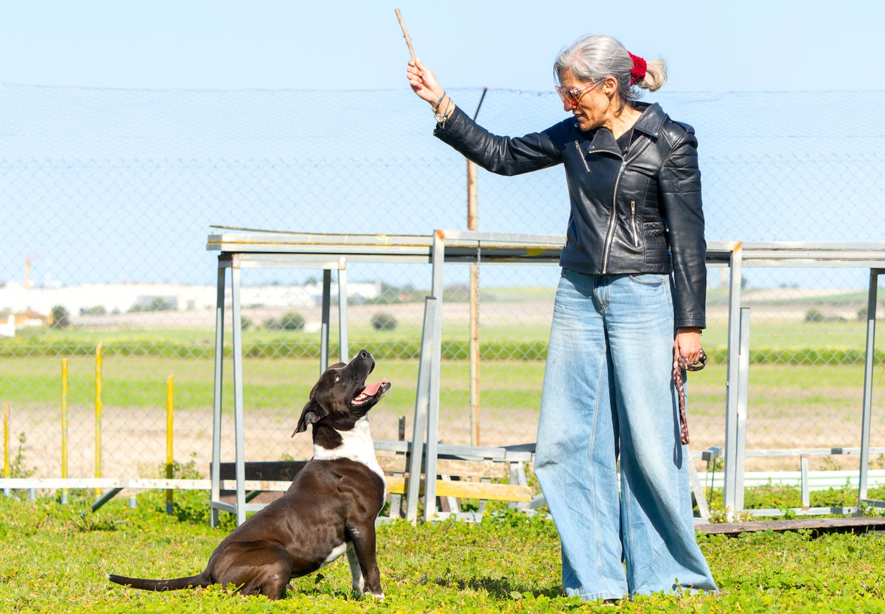 Uno de los animales que tienen una nueva vida en la provincia de Cádiz.