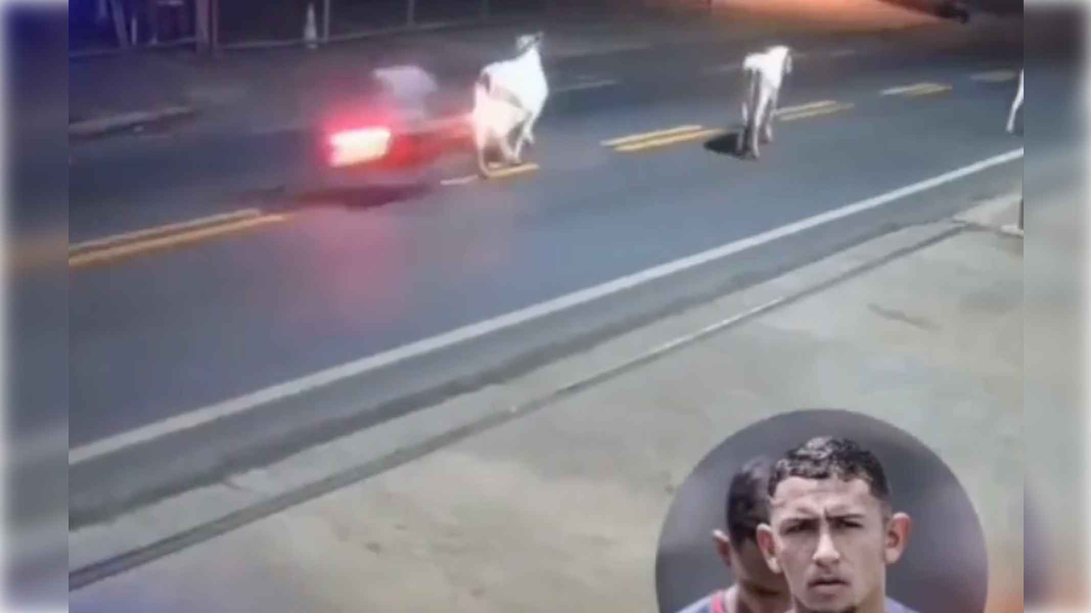 Momento en el que el futbolista impacta con su moto con la vaca.