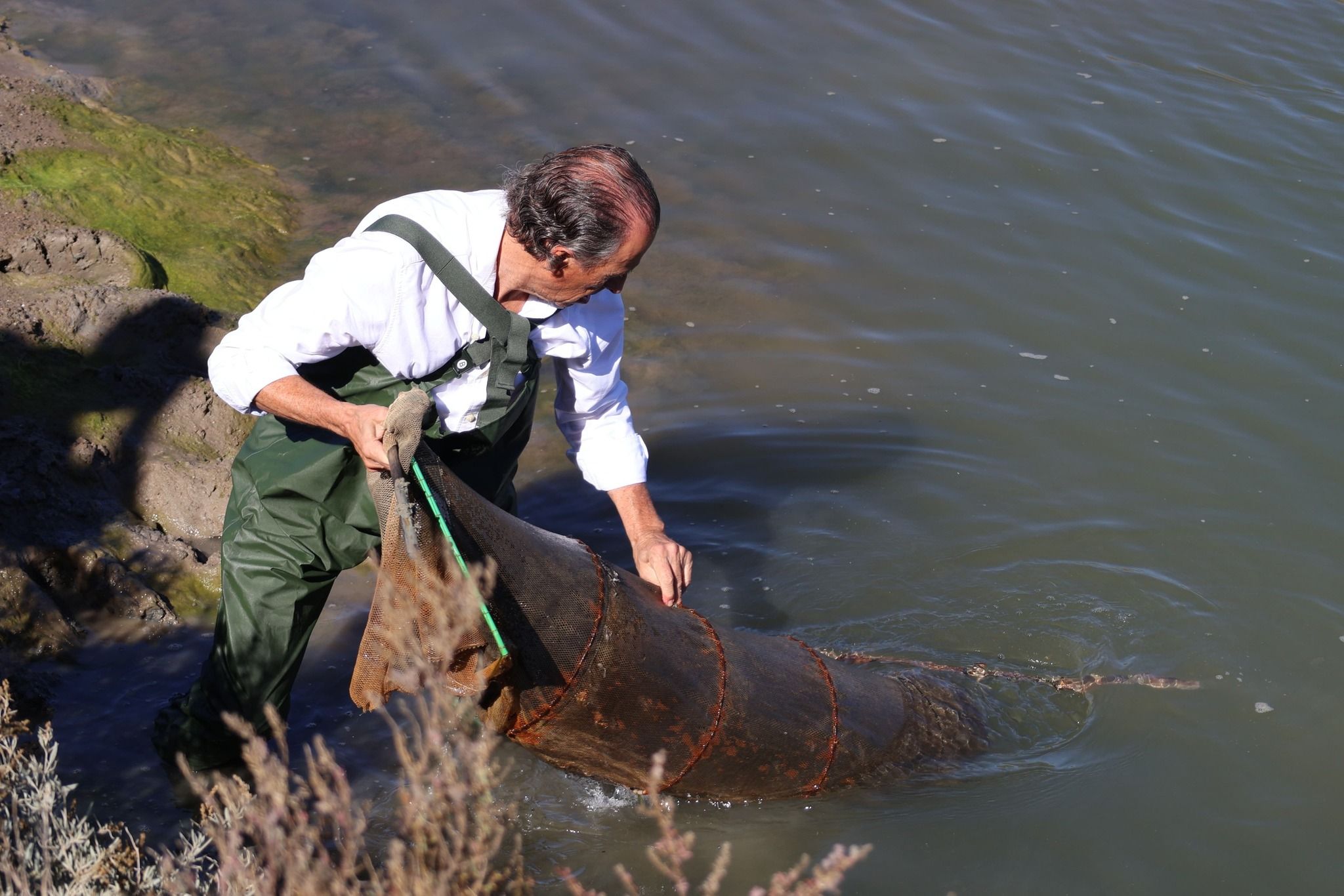 José María Roman, alcalde de Chiclana, en el despesque. José María Roman, alcalde de Chiclana, en el despesque.