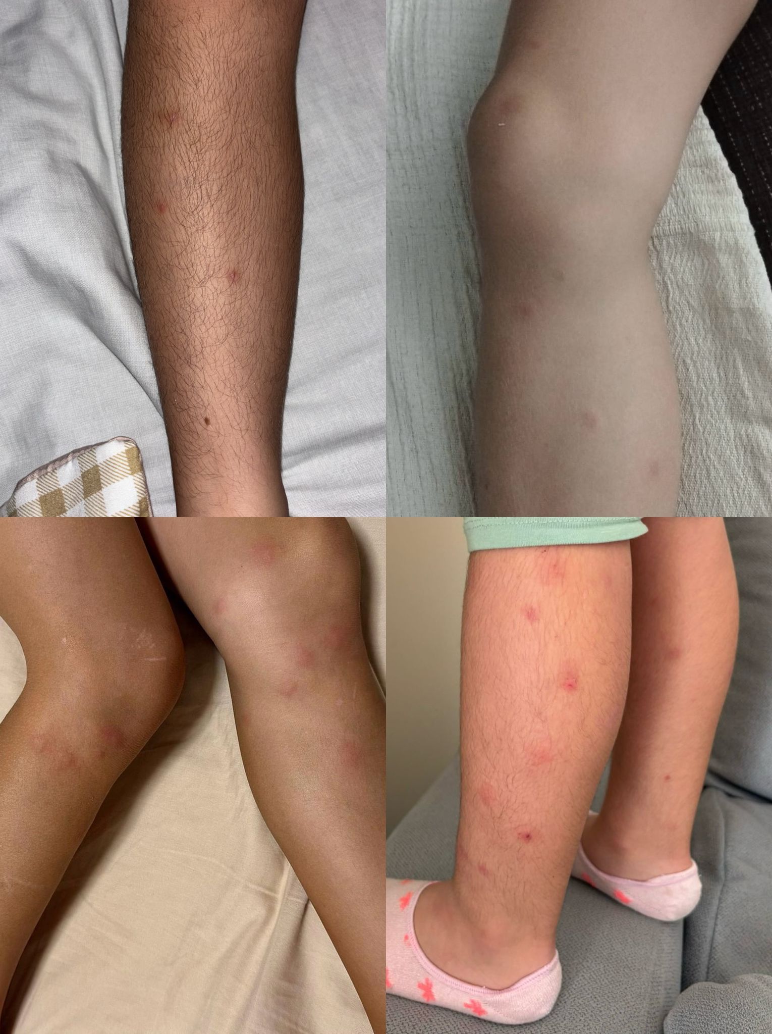 Imágenes de alumnos del centro.