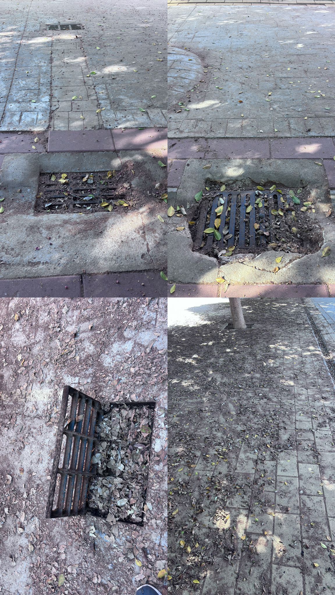 Insatalaciones con hojas.