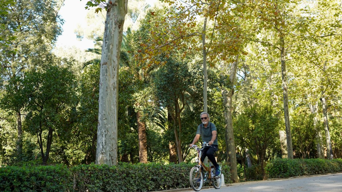 La Voz Del Sur Arboleda Sevilla 27