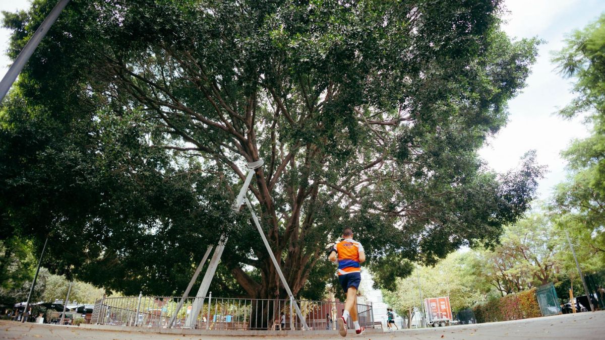 WhatsApp Image 2025 10 24 at 12.44.04