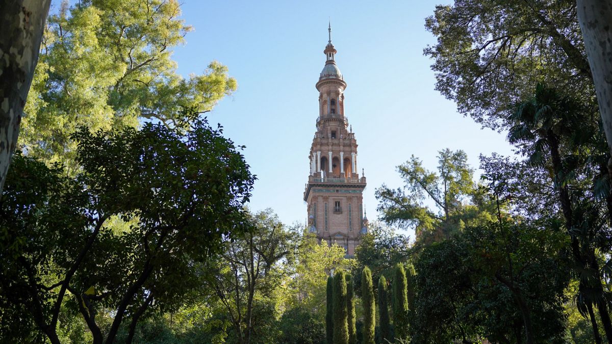 La Voz Del Sur   Arboleda Sevilla 02
