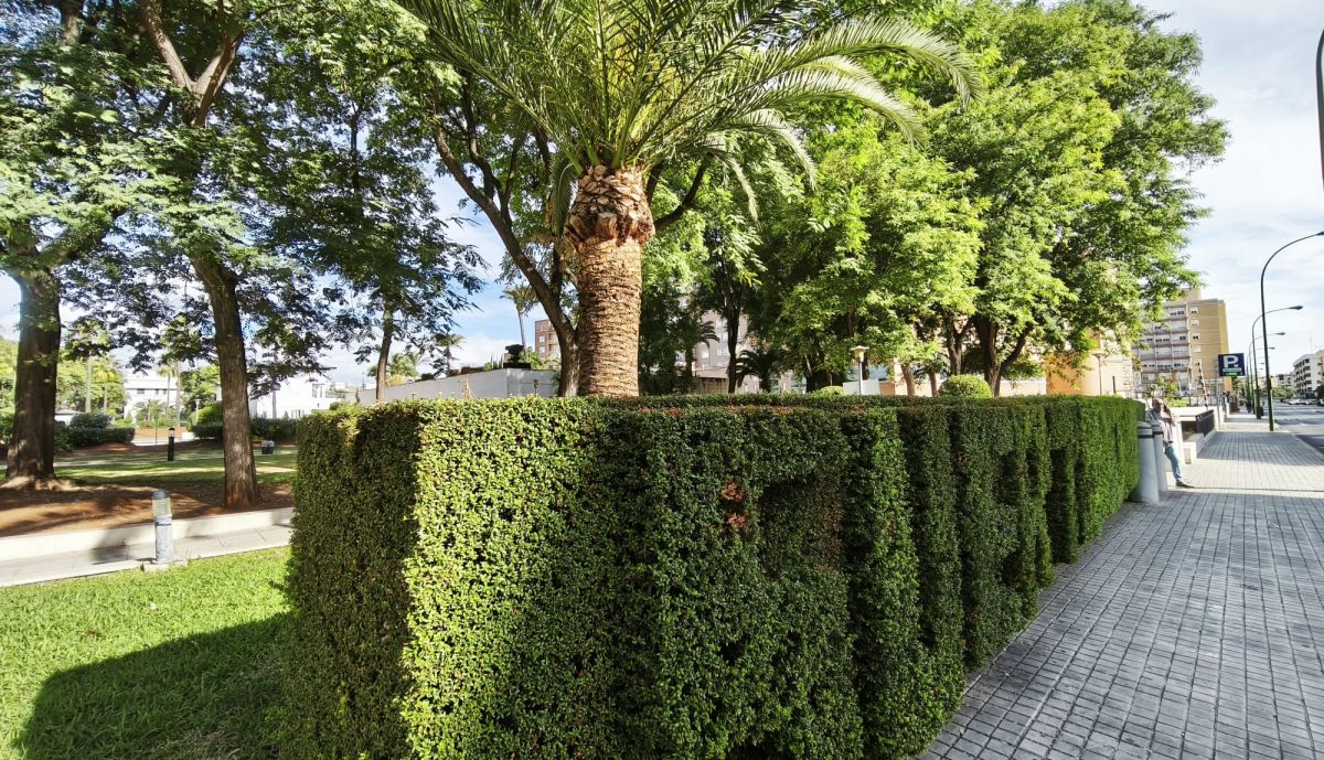 Obra de un paisajista.