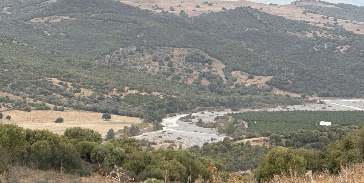 El río Guadiaro, seco por las plantaciones de aguacates, critican los ecologistas. El río Guadiaro, seco por las plantaciones de aguacates, critican los ecologistas.