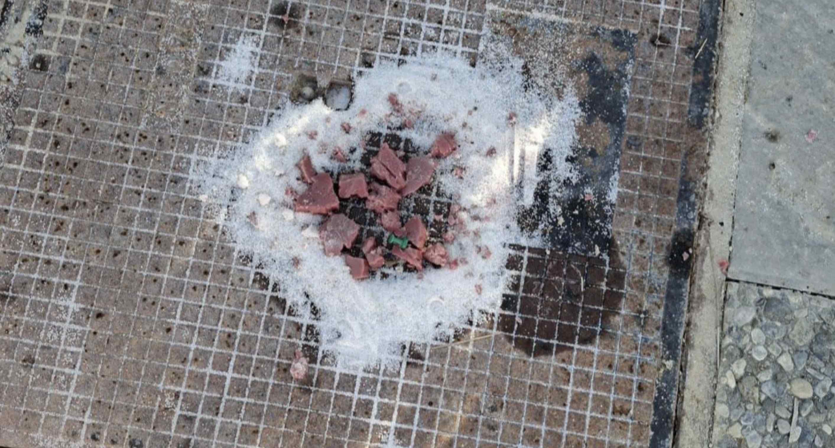 Comida con chinchetas en San José del Valle.