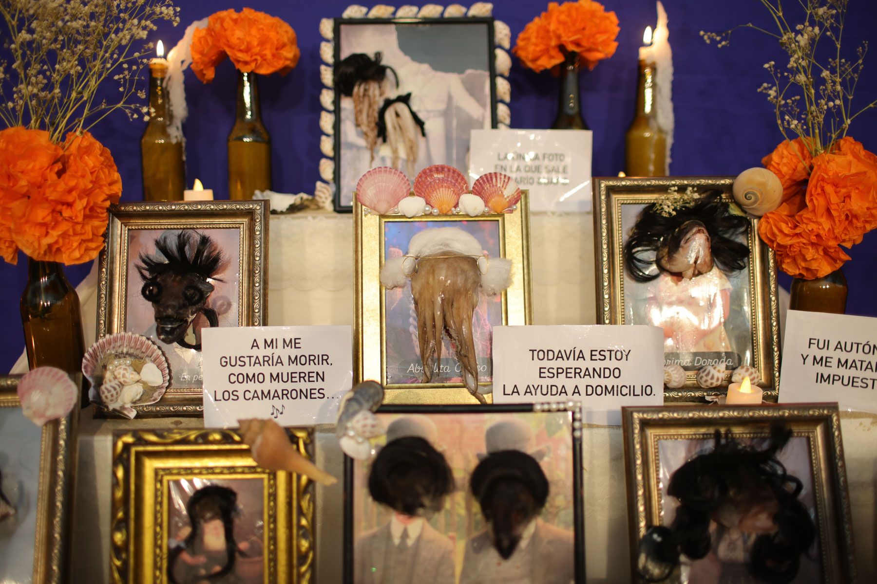 Los Tosantos 2025: Ingenio y tradición en los mercados de Cádiz