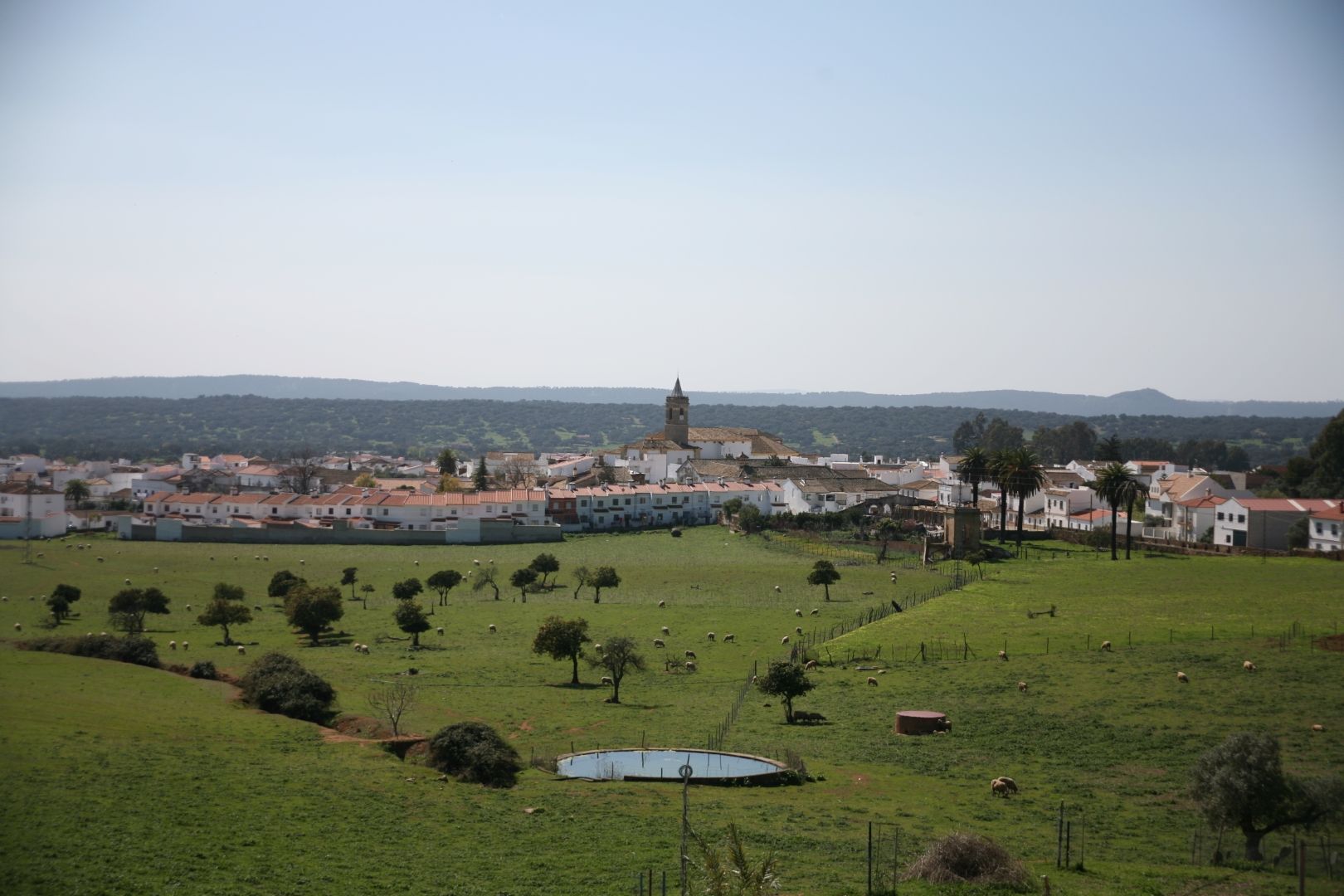 Vista de El Pedroso, municipio donde ha ocurrido. Vista de El Pedroso, municipio donde ha ocurrido.