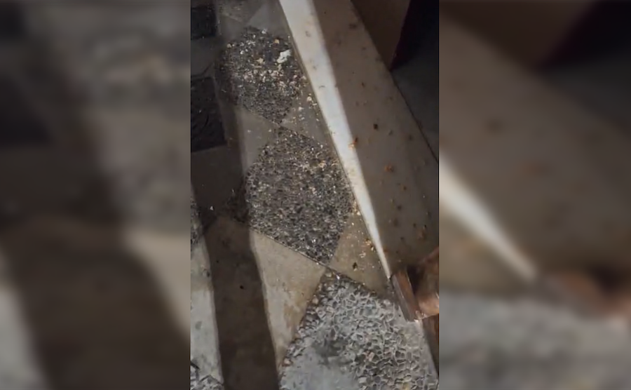 Orines en la calle Algarve, el pasado fin de semana en Jerez.