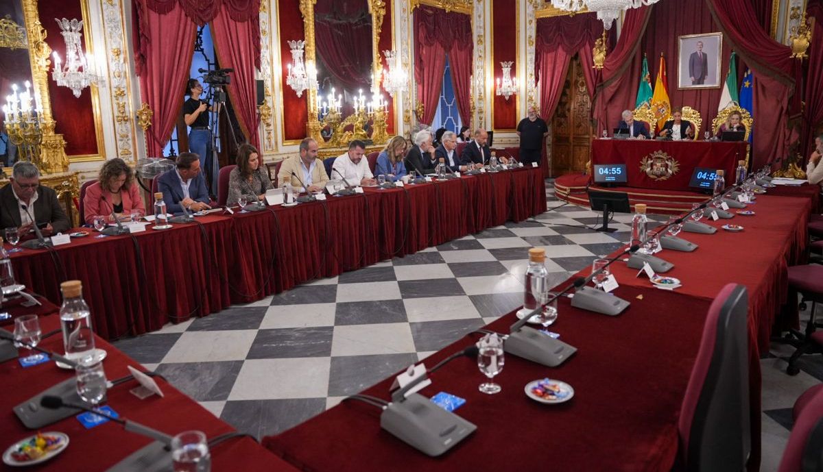 pleno diputacion cadiz octubre REYNA 3