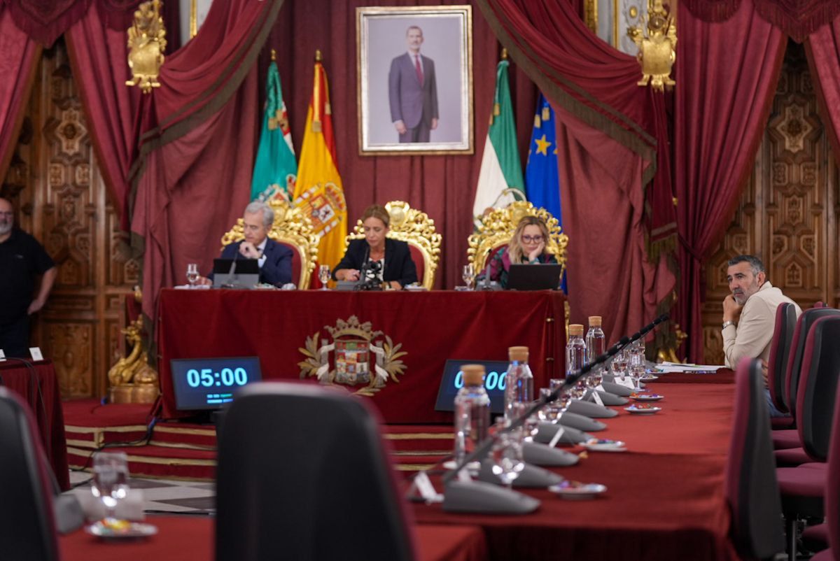 Javier Pizarro, portavoz del PSOE, solo en la bancada de la oposición en el pleno de Diputación de Cádiz.