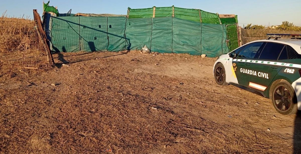 WhatsApp Image 2025 10 28 at 11.38.23