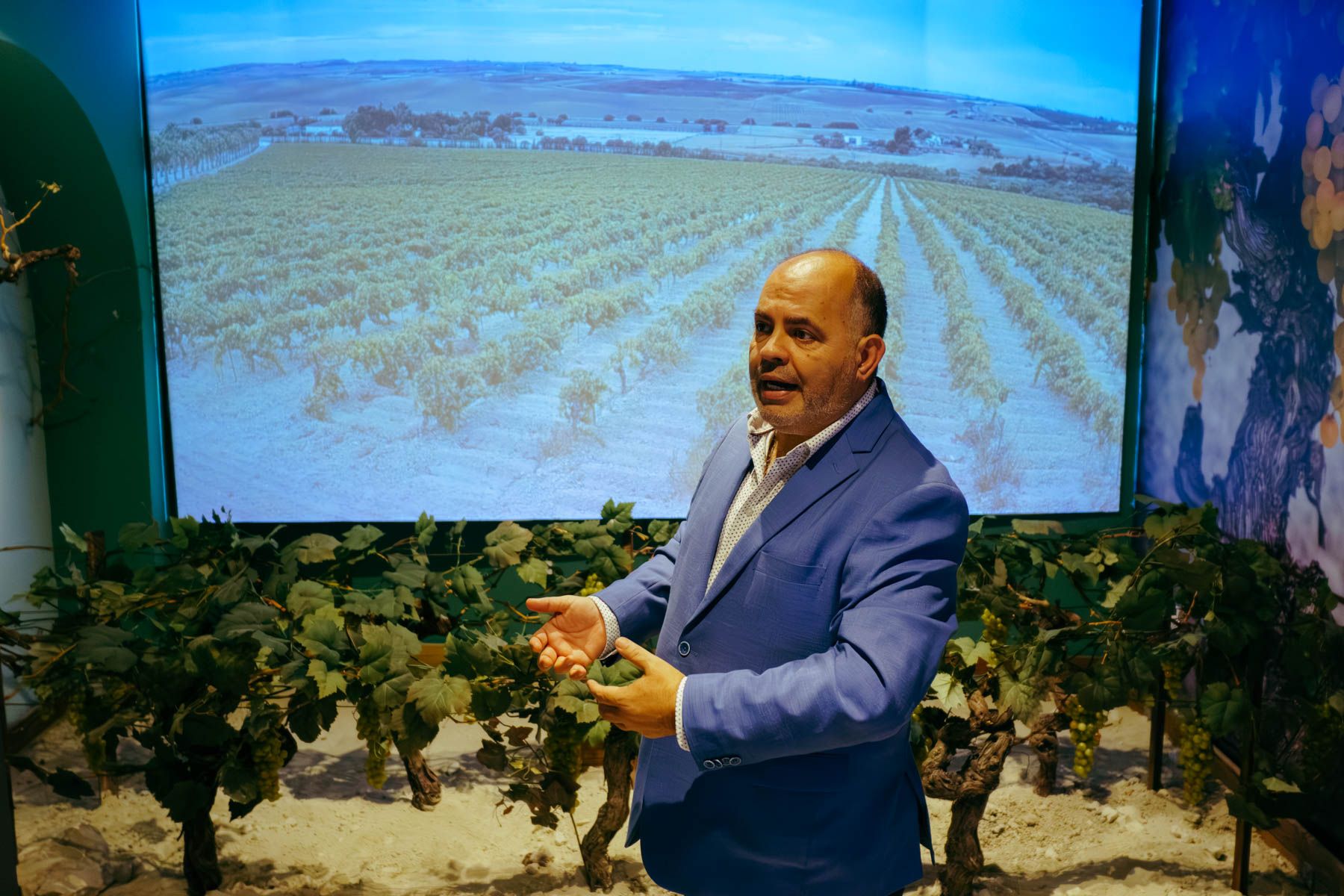 La viña Cerro Obregón, monitorizada desde el Palacio San Dionisio, con Fulgencio Meseguer al frente. 