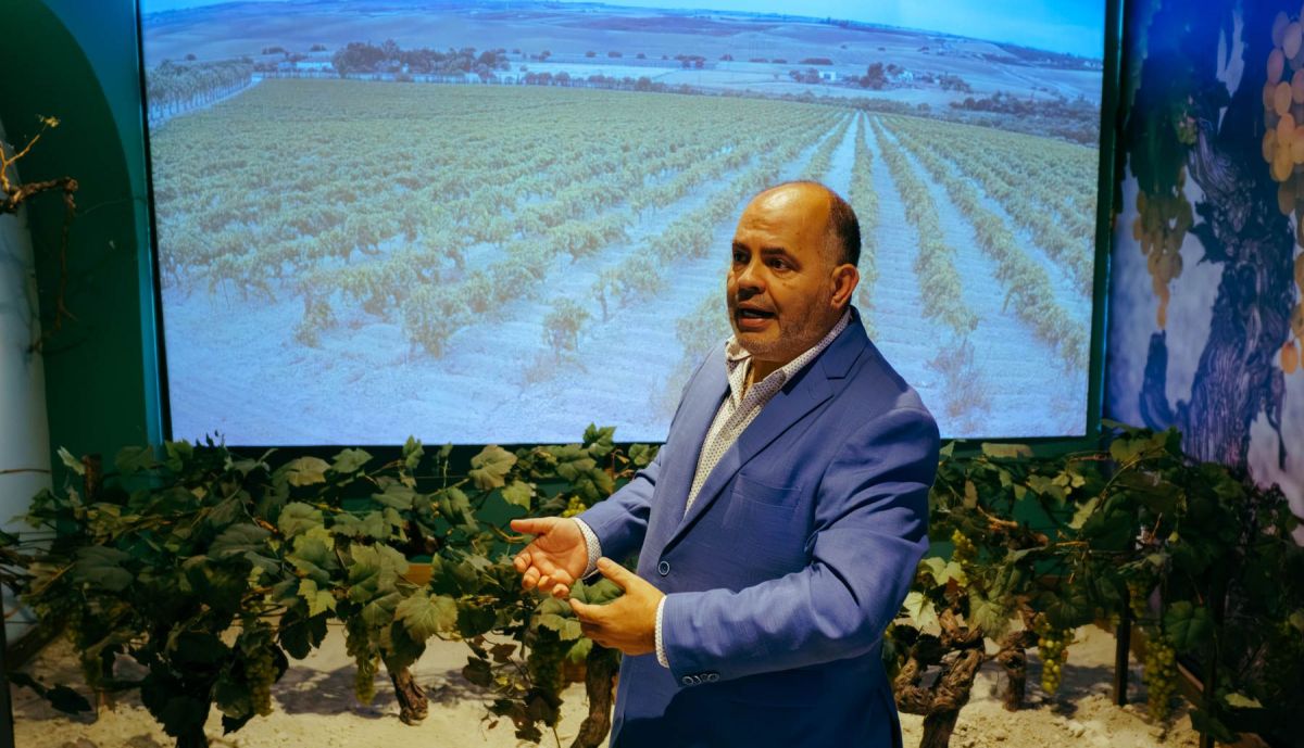 PALACIO SAN DIONISIO FULGENCIO 30