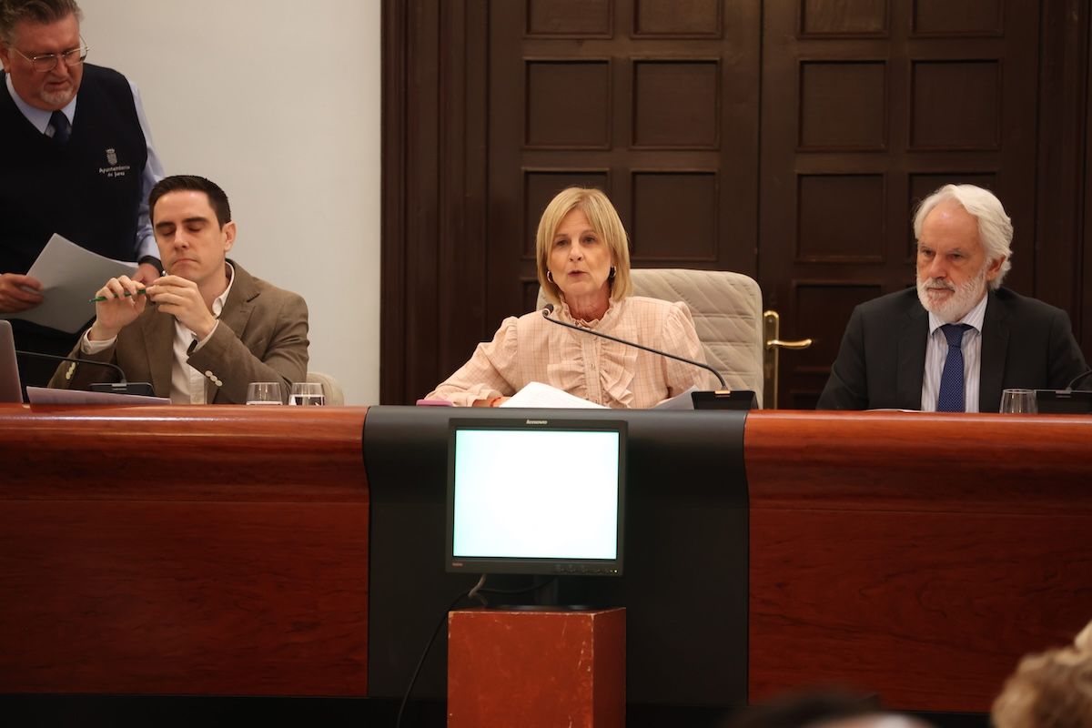 María José García-Pelayo, en el último pleno municipal.