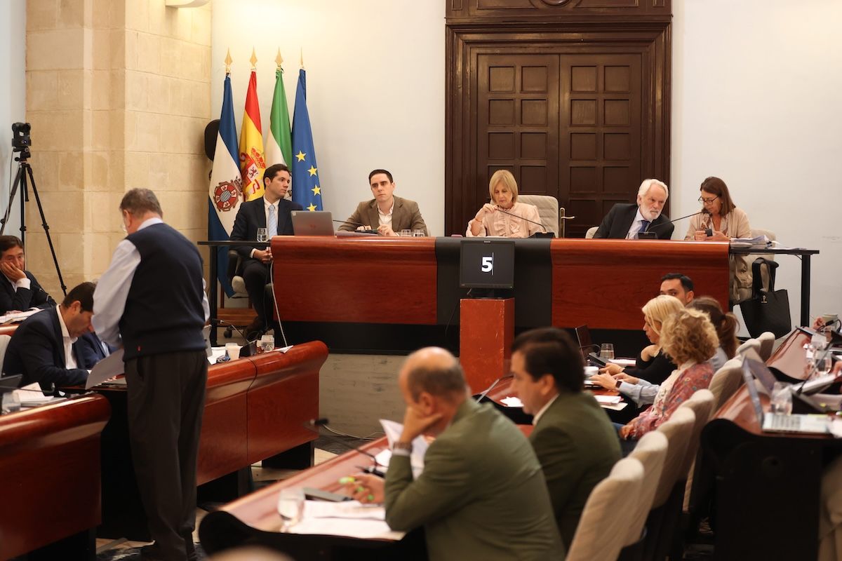 El pleno municipal de Jerez, en una sesión de hace unos meses.