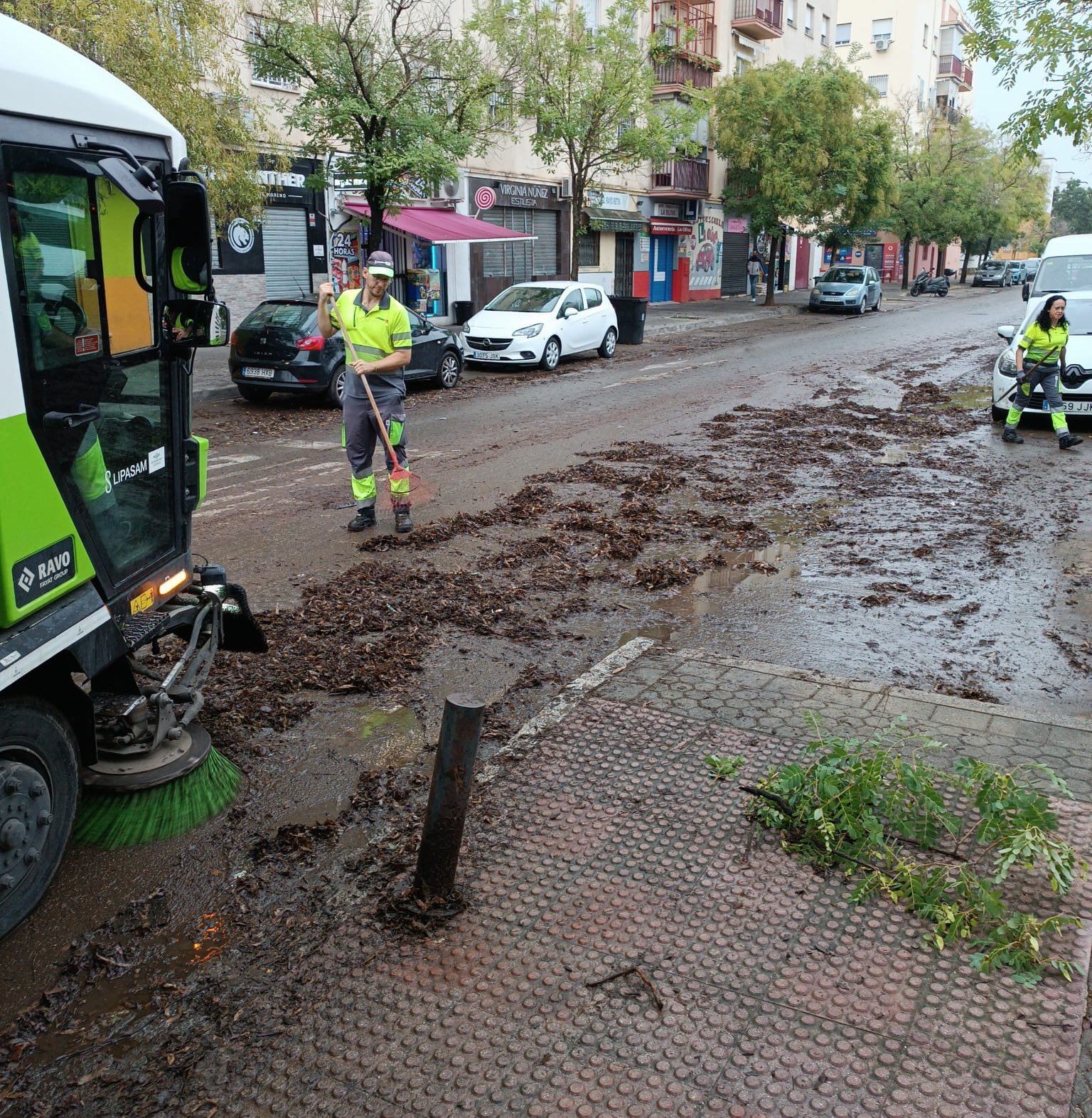 Trabajos de Lipasam tras el temporal. Trabajos de Lipasam tras el temporal.
