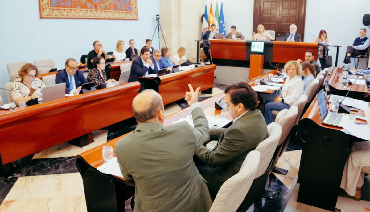 PLENO MUNICIPAL OCTUBRE 2025 34