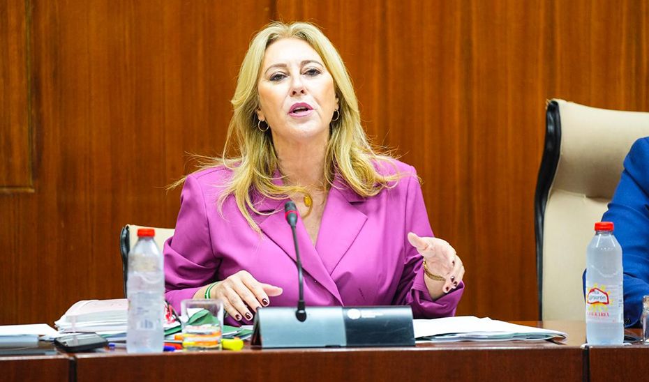 Carolina España, en comisión parlamentaria.