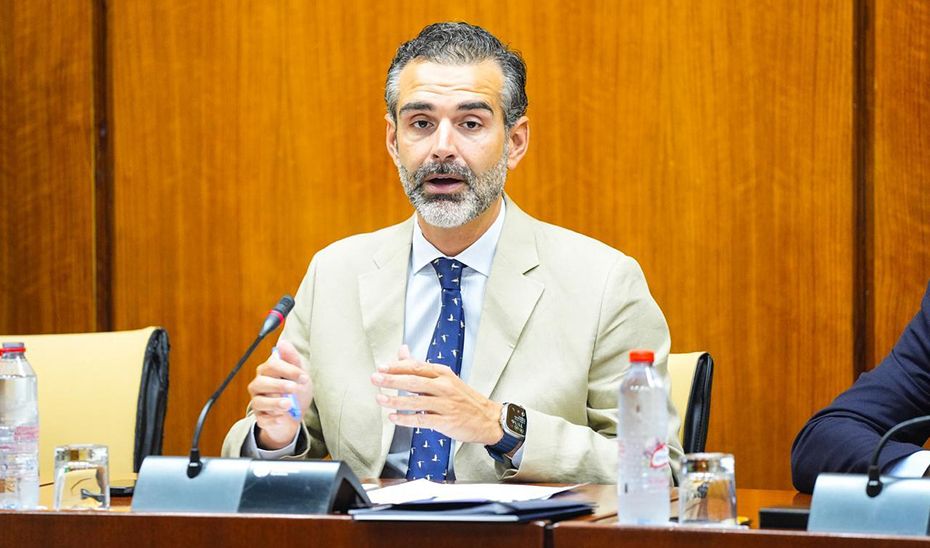 Ramón Fernández Pacheco, en comisión.