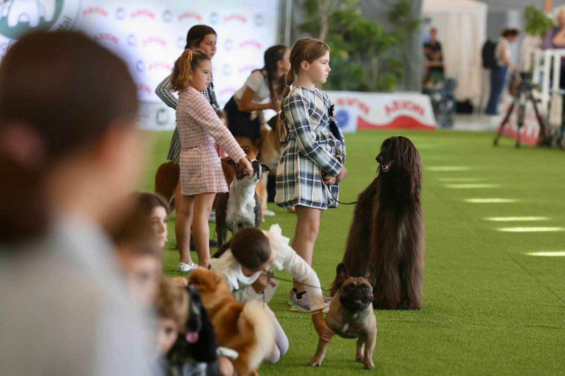Un grupo de niñas, junto a sus perros, en la exposición canina.