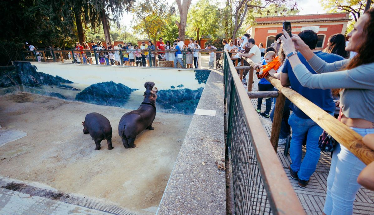 Las familias han disfrutado a lo grande de un día muy especial.