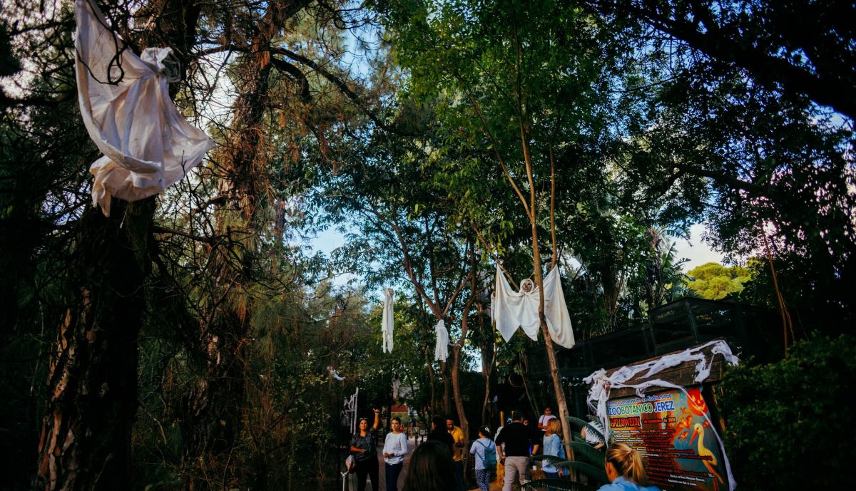 Otra imagen del ambiente especial de Halloween en el Zoo de Jerez.