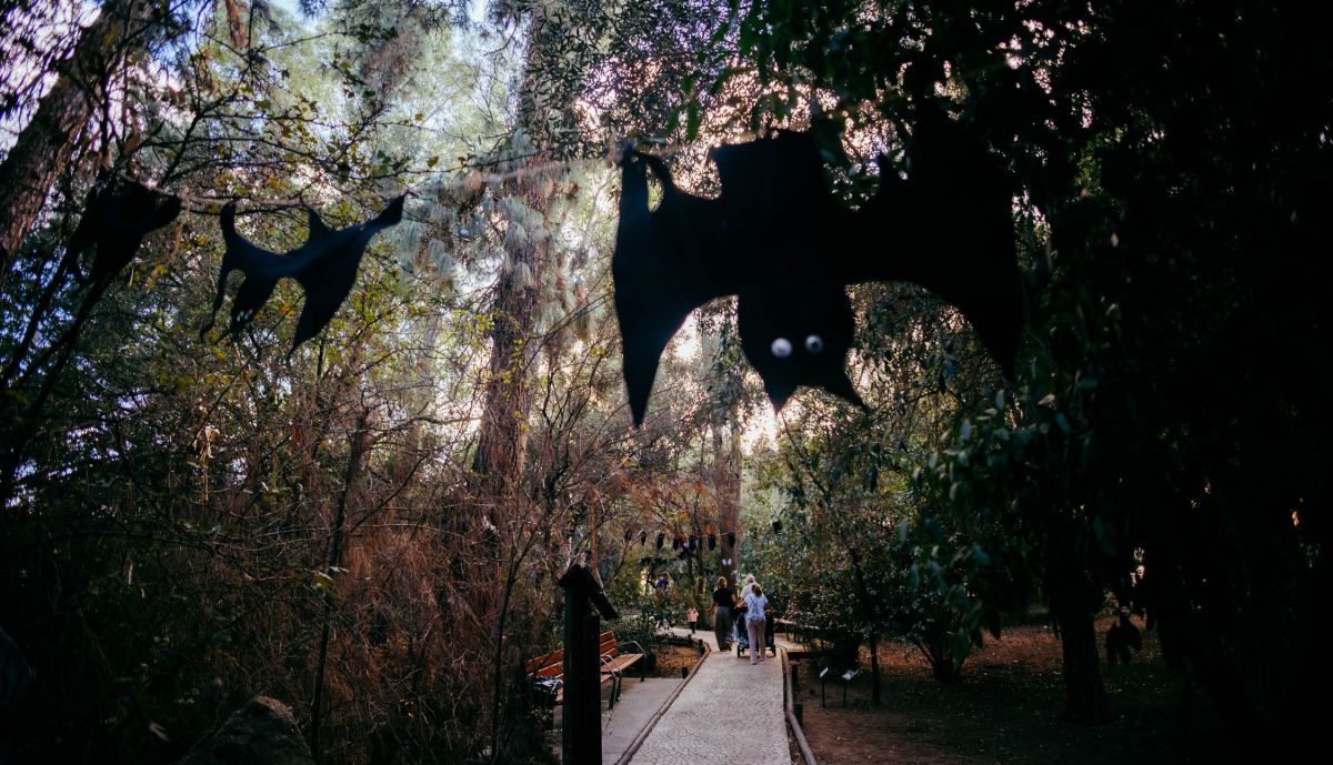 Ambientación de Halloween en el Zoo.