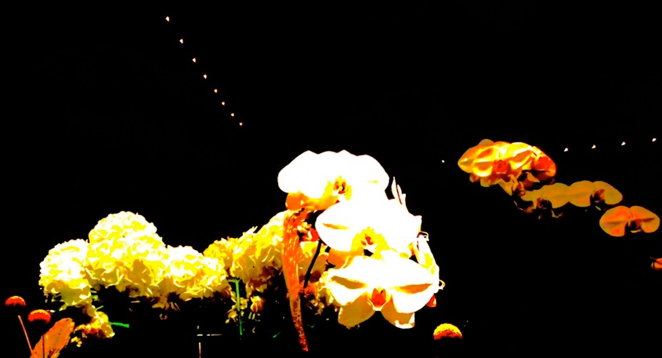 Un alebrije, animal fantástico semejante al grifo, presente en la celebración del Día de Muertos mexicano.