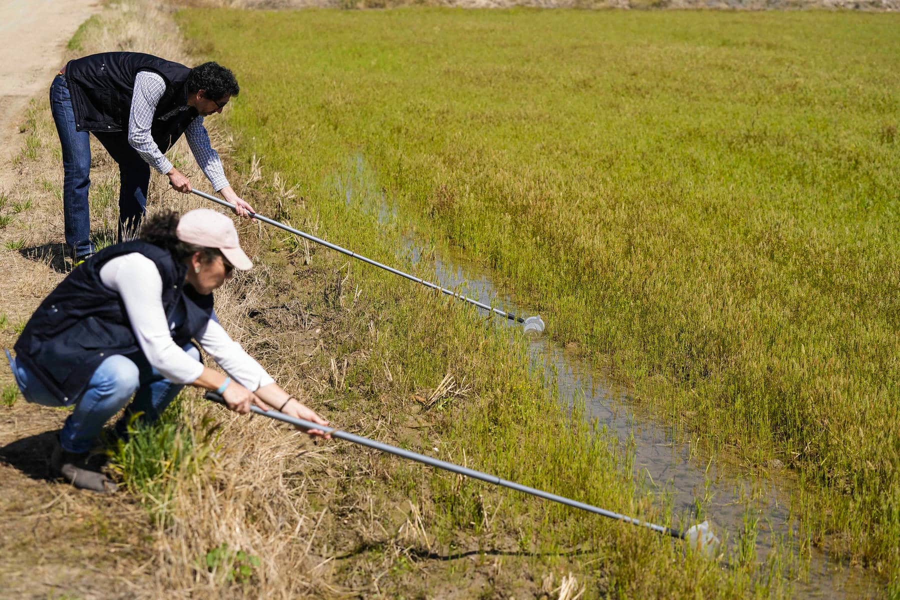Expertos en trabajos realizados por Diputación de Sevilla frente al mosquito transmisor del Virus del Nilo. Expertos en trabajos realizados por Diputación de Sevilla frente al mosquito transmisor del Virus del Nilo.