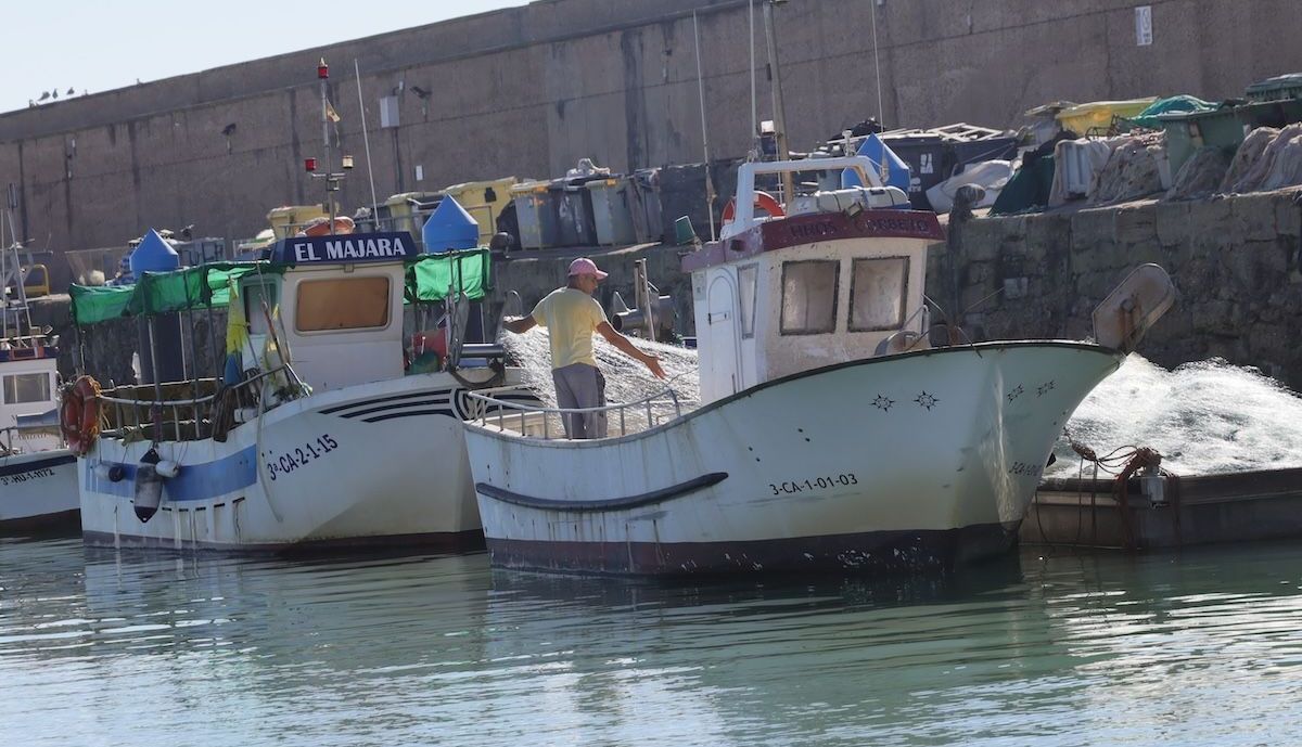 Rota marca pescado 5