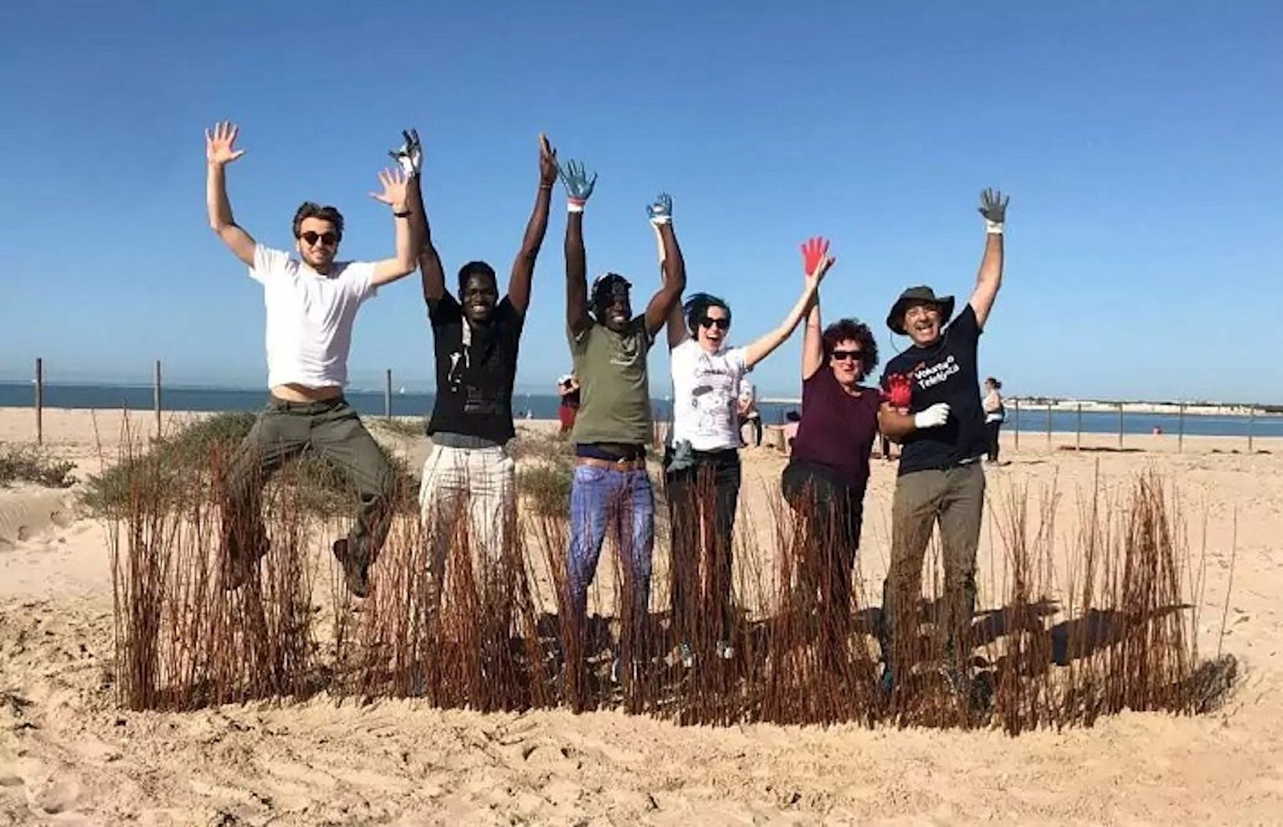 Un voluntariado ambiental. Un voluntariado ambiental.