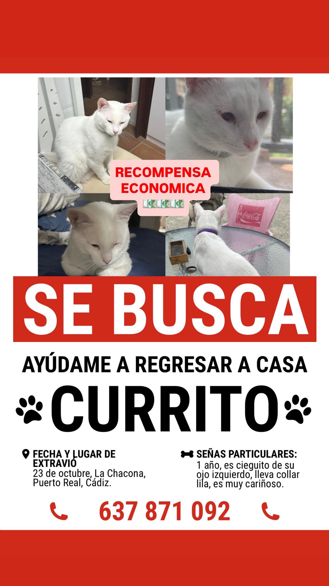 Imagen con información y contacto.
