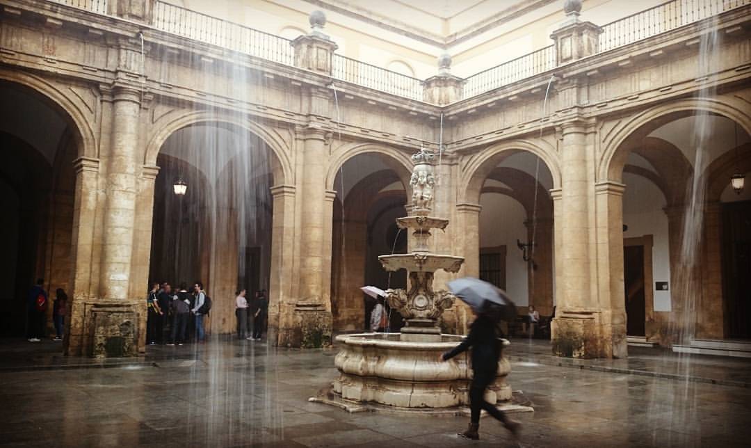 Lluvia en la Universidad de Sevilla en una imagen de sus redes sociales.