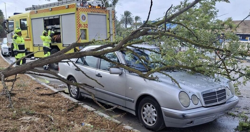 Una intervención de los bomberos por el fuerte viento.