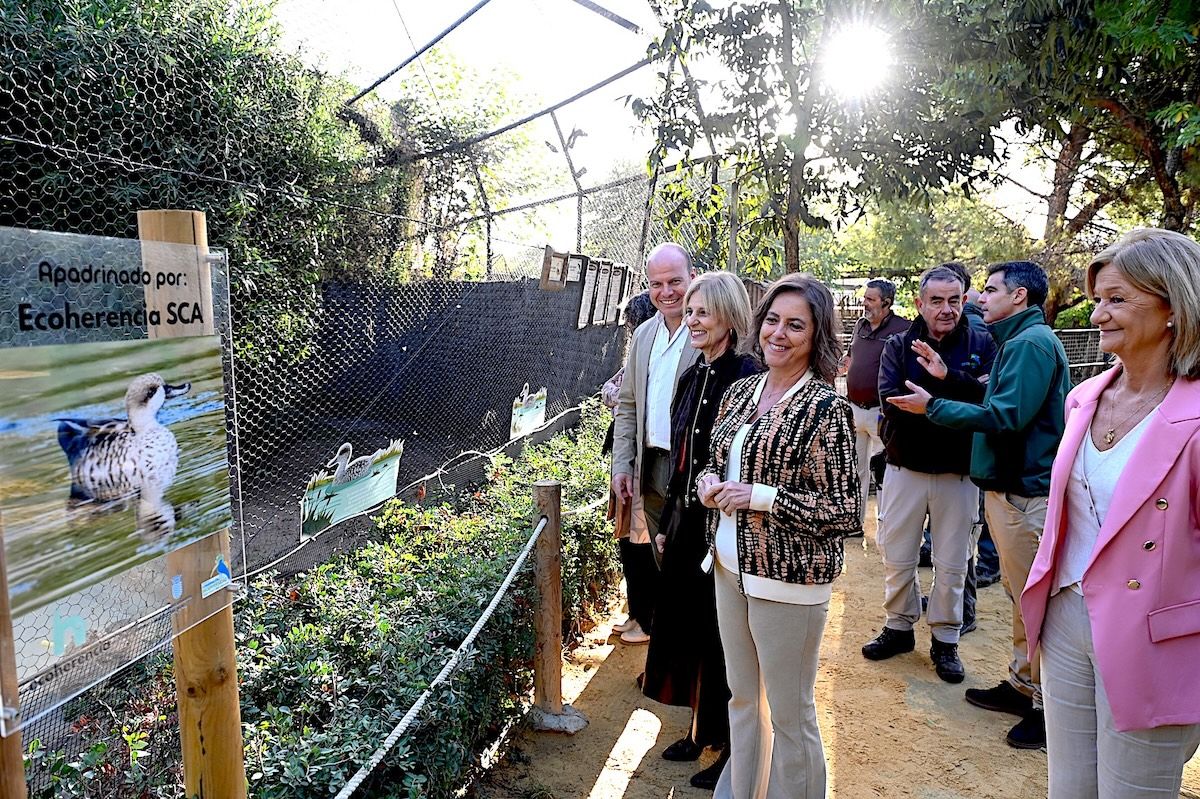 La consejera Catalina García, visitando el centro de cría de la cerceta pardilla en el Zoobotánico de Jerez. La consejera Catalina García, visitando el centro de cría de la cerceta pardilla en el Zoobotánico de Jerez.