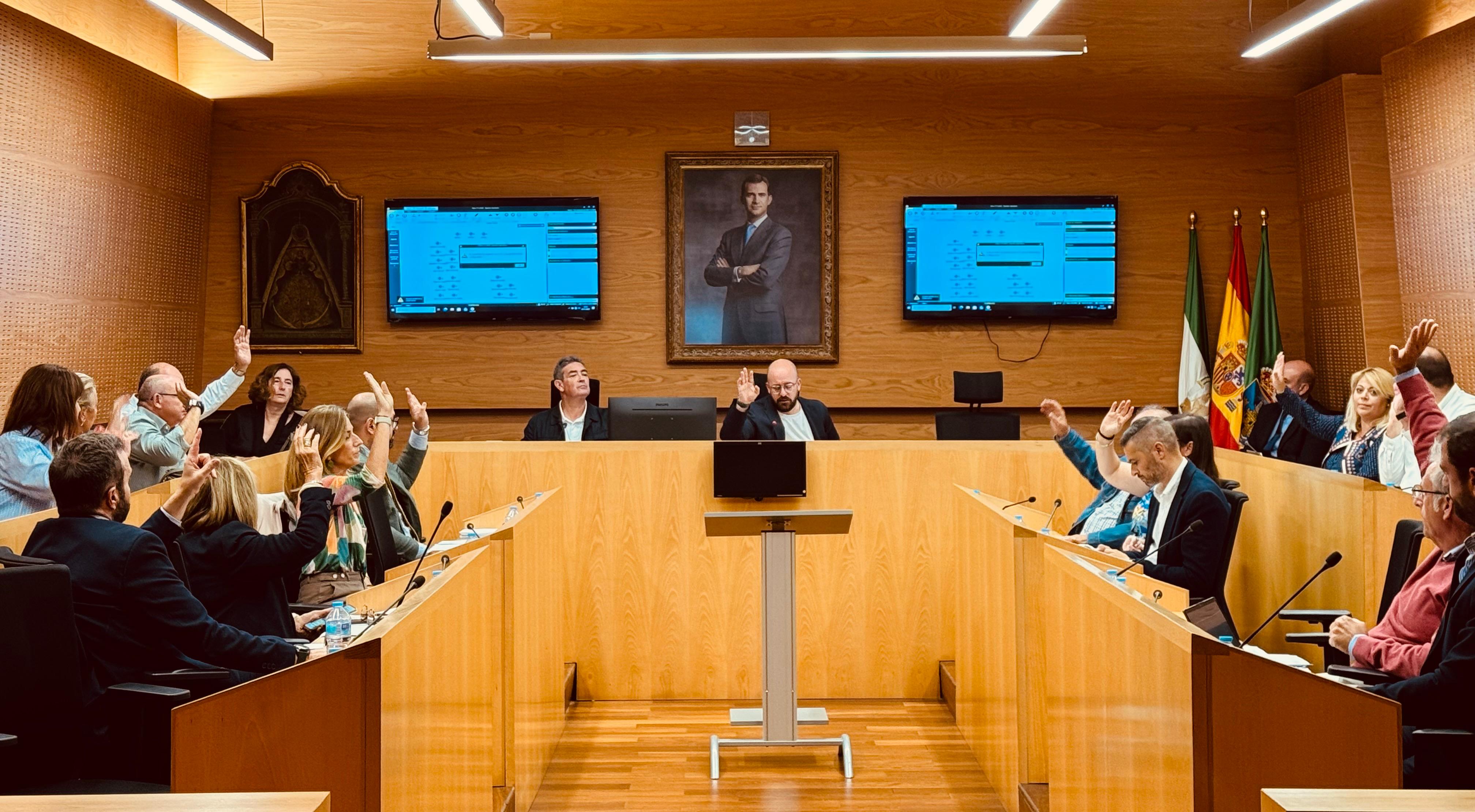 Pleno en el que se han aprobado las distinciones.