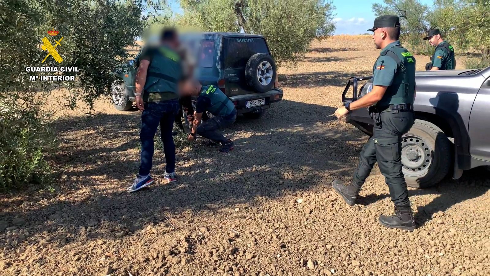 Una operación de la Guardia Civil en una finca donde se llevaba a cabo una recogida de aceitunas. Una operación de la Guardia Civil en una finca donde se llevaba a cabo una recogida de aceitunas.