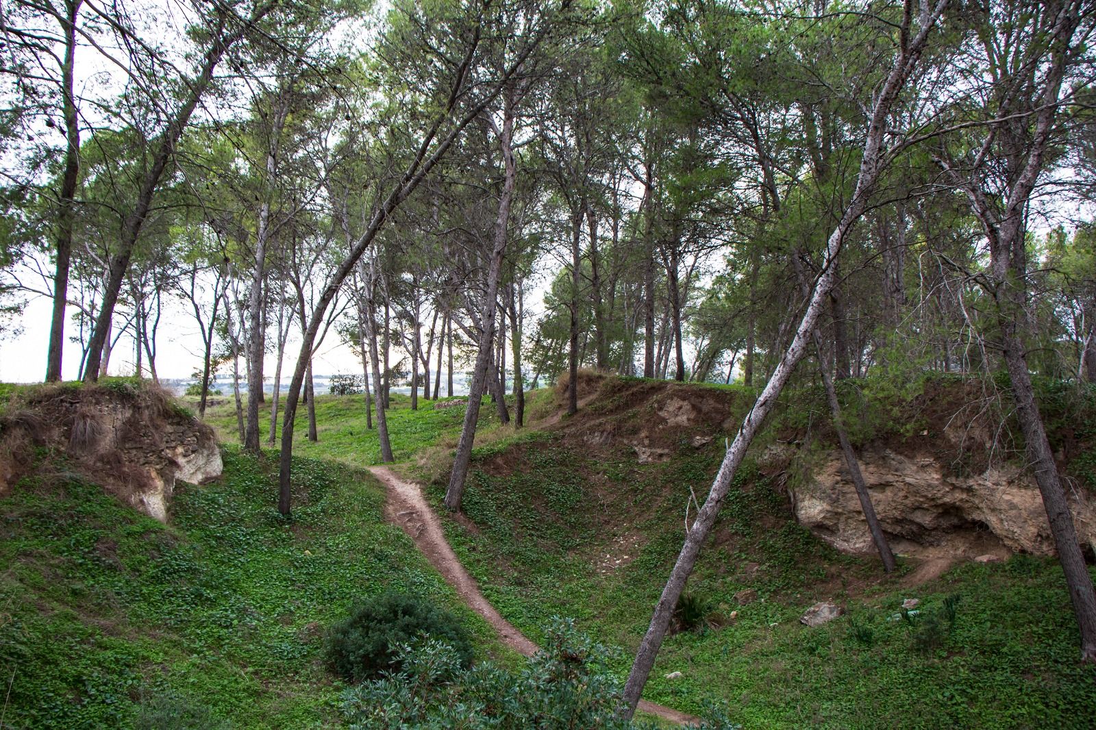 Ecologistas pide más protección para el parque de Las Aguilillas. Ecologistas pide más protección para el parque de Las Aguilillas.