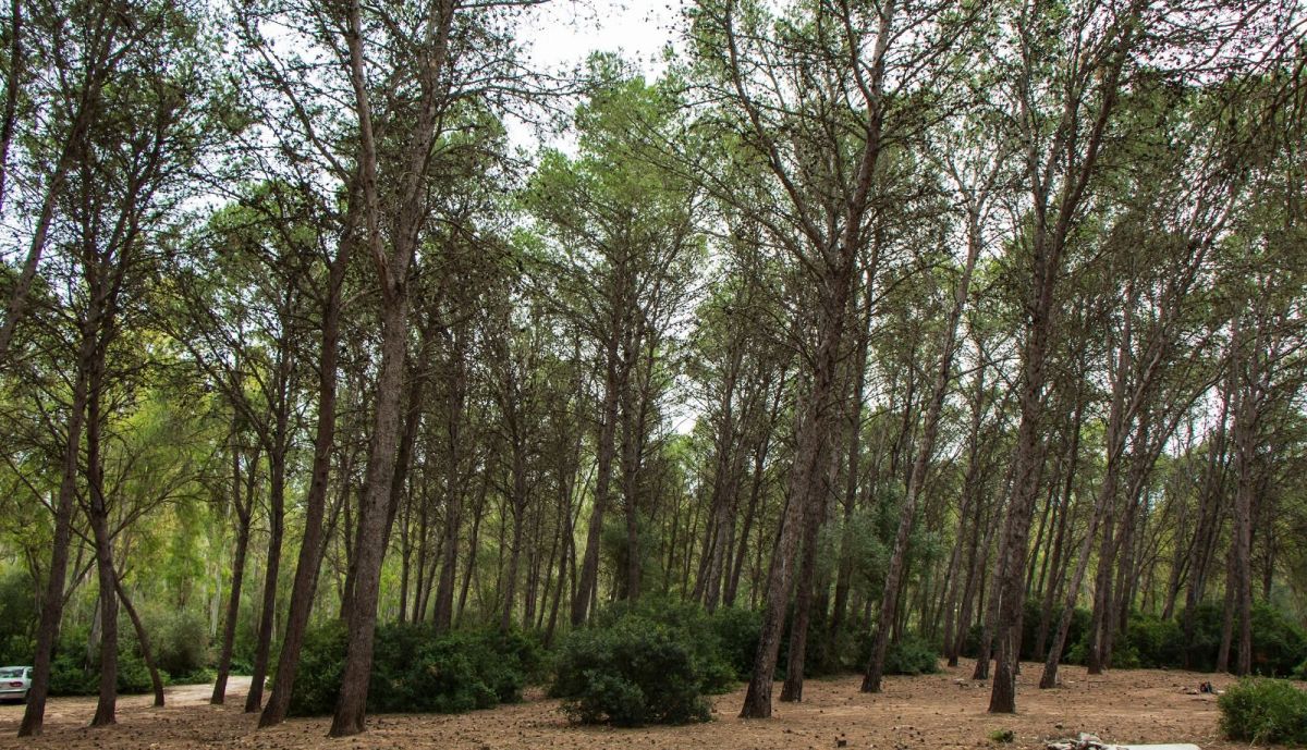 WhatsApp Image 2025 11 10 at 16.26.56