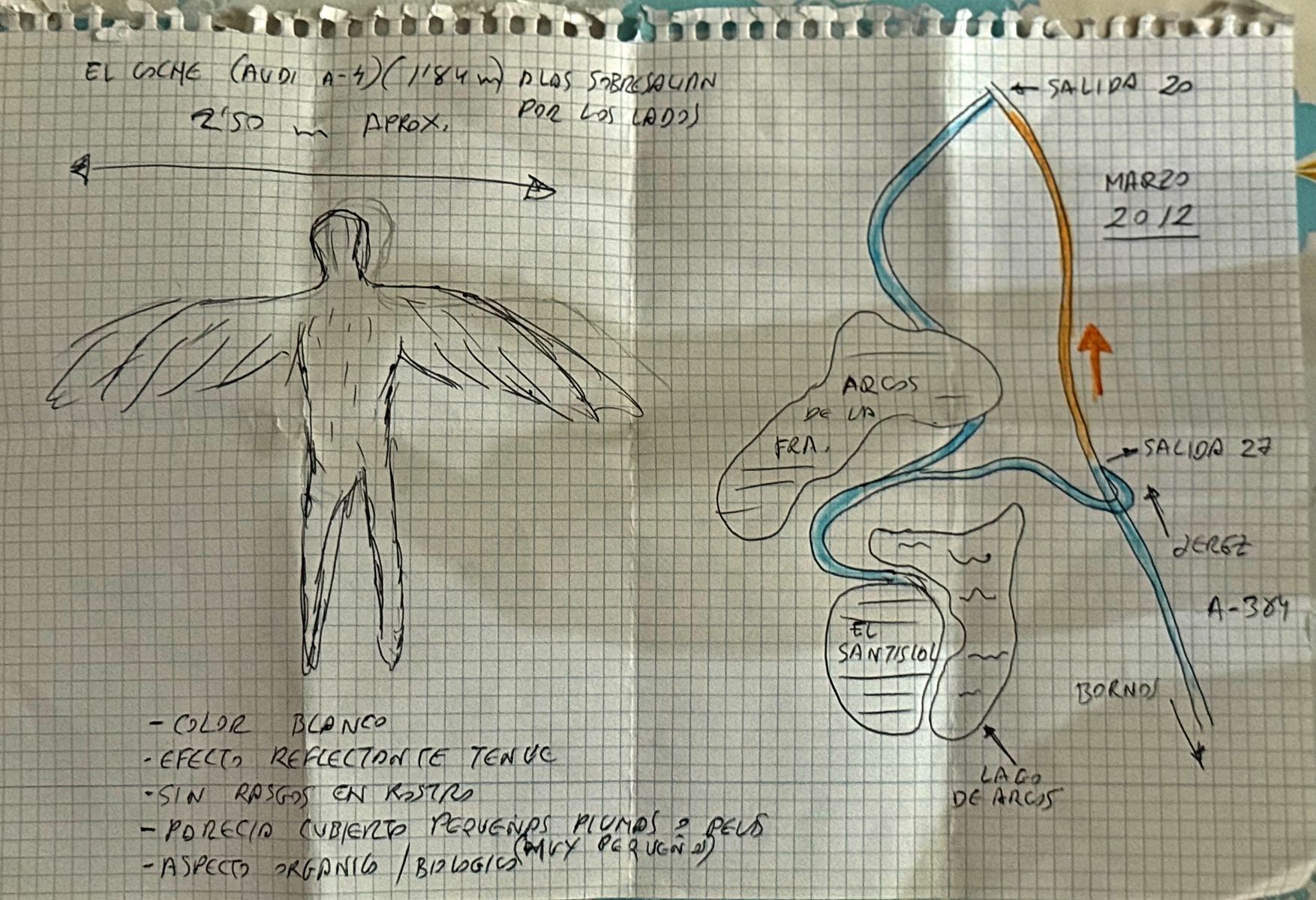 Croquis del testigo.