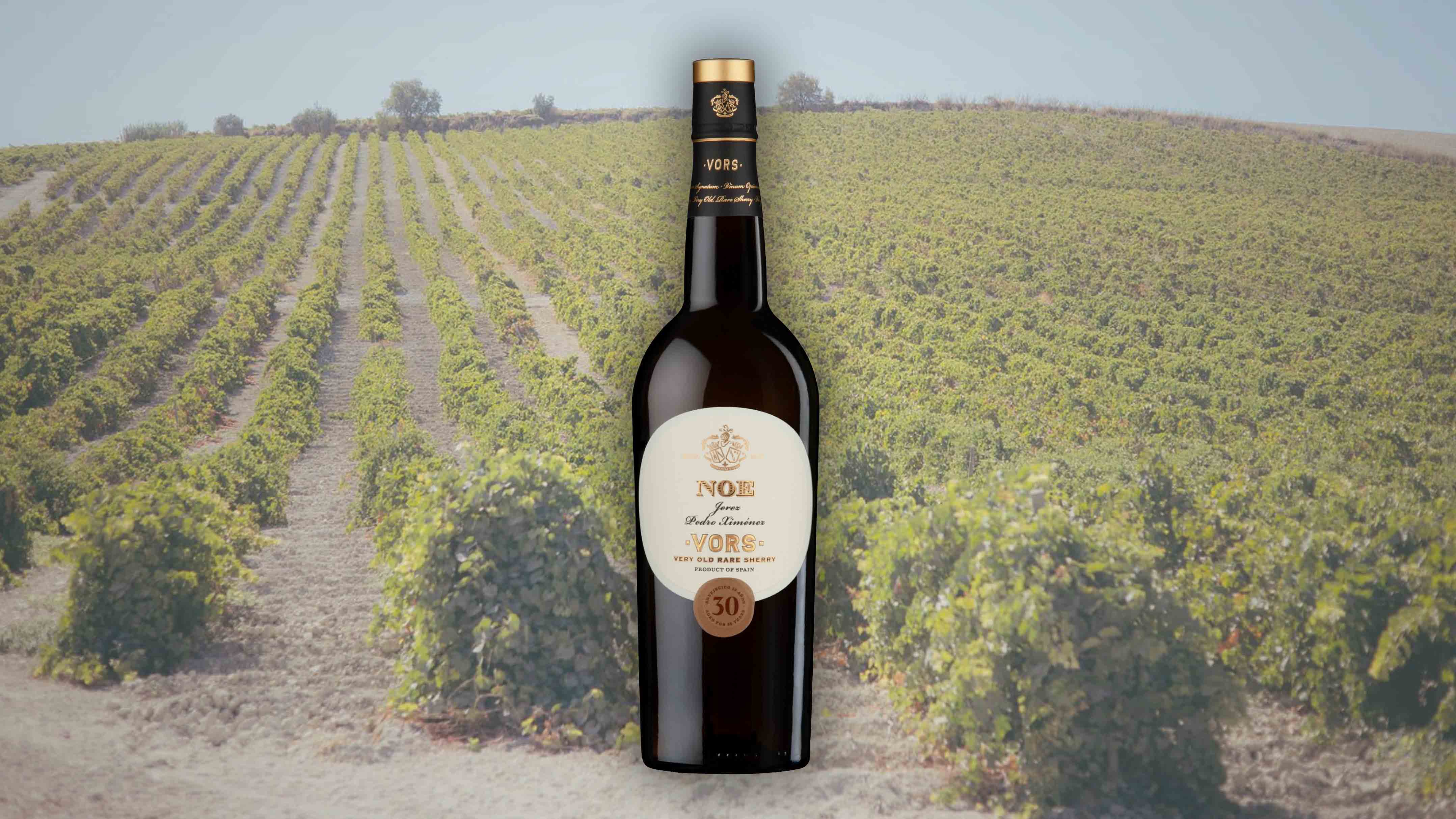 Botella de Noé, de González Byass, sobre un fondo de la Canariera, viña en la que se pasifican sus uvas.