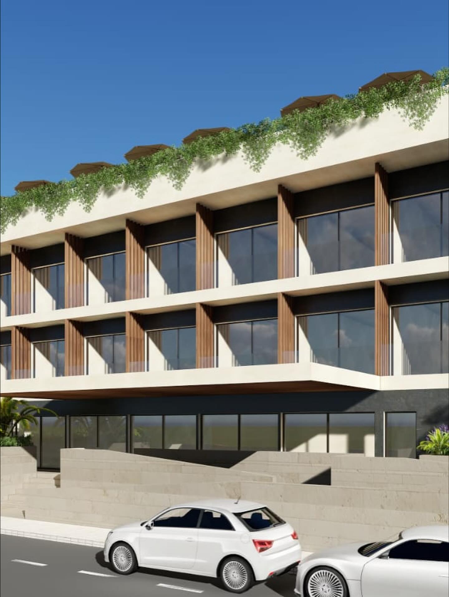 El proyecto hotelero.