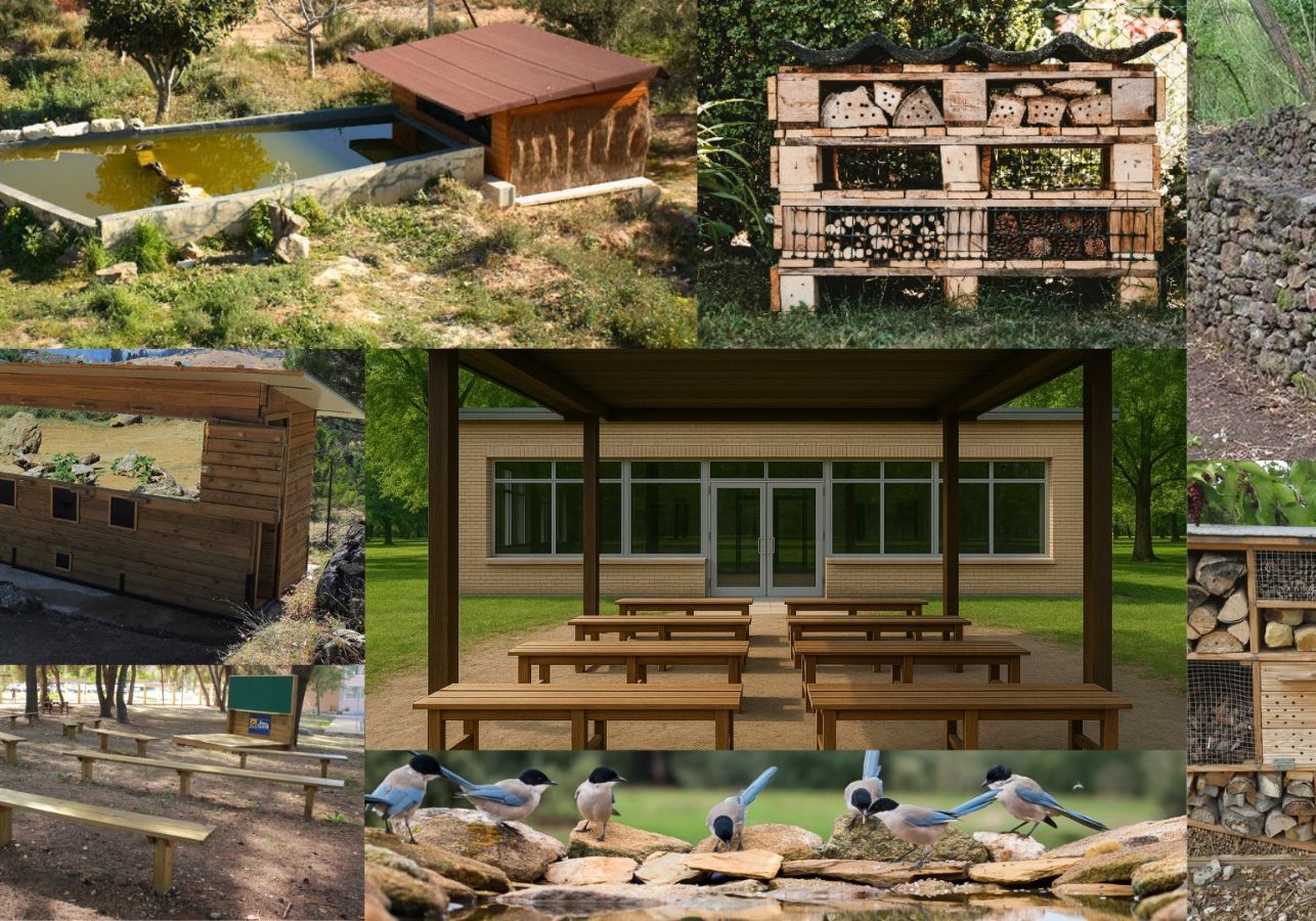 251113 proyecto reforestacion parcela punta candor 5a534445 251113 proyecto reforestacion parcela punta candor 5a534445