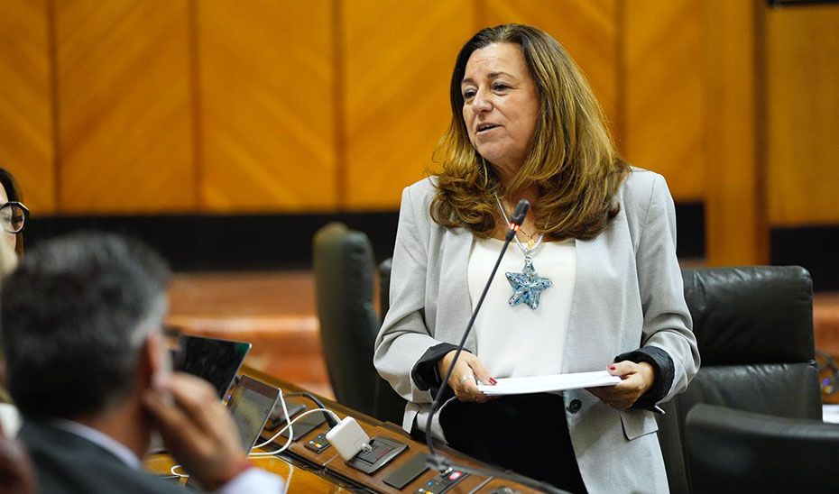 La consejera de Desarrollo Educativo y Formación Profesional, María del Carmen Castillo., en el Parlamento.