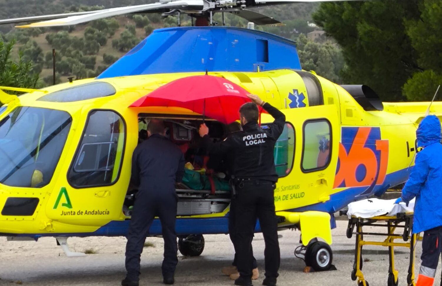 Algodonales Algodonales