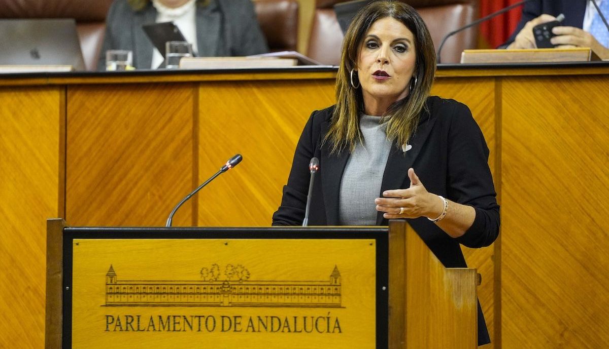 Ángeles Férriz, portavoz adjunta del PSOE en el Parlamento.
