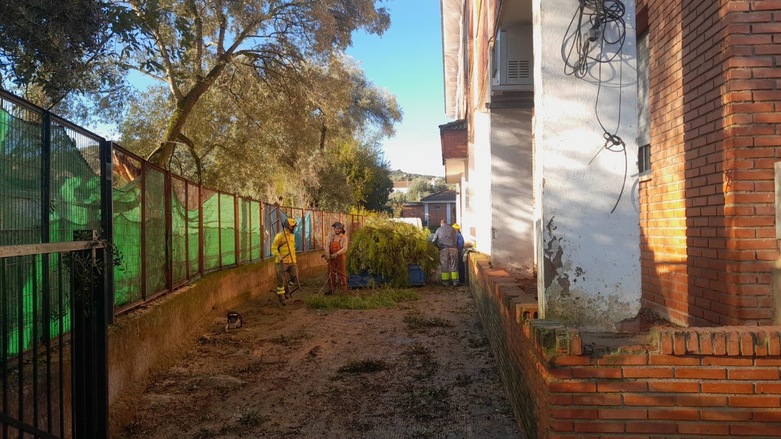 Trabajadores del Infoca, retirando árboles caídos en un colegio de Aroche, en Huelva.